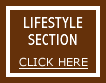 Lifestyle Section